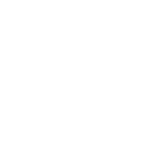 Techn-V-ac Vacuum
